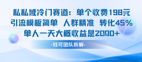 私域冷门赛道单个收费198米引流模板简单人群精准 45%的转化率单人一天大概收益多张-吾爱网创