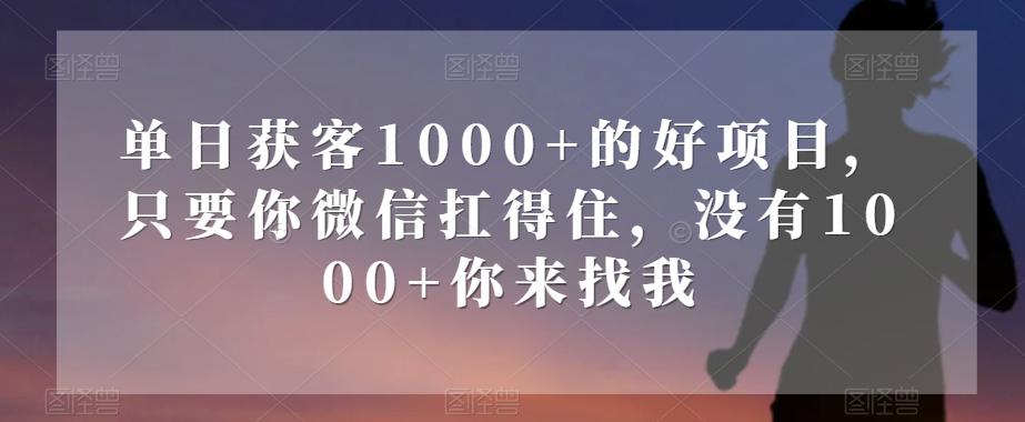 单日获客1000+的好项目，只要你微信扛得住，没有1000+你来找我【揭秘】-吾爱网创