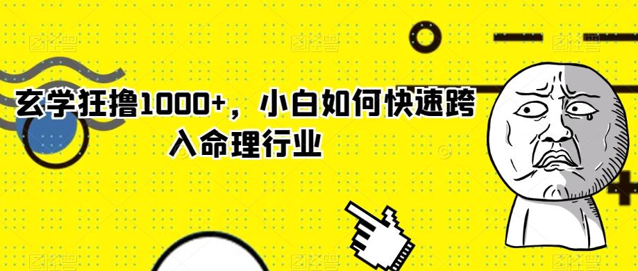 玄学狂撸1000+，小白如何快速跨入命理行业-吾爱网创