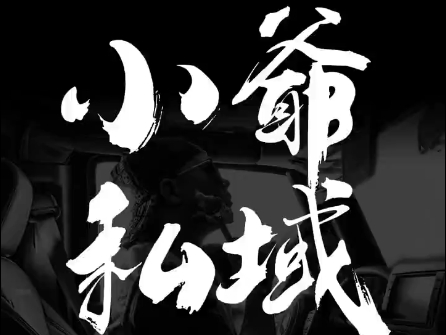 小爷·私域项目操盘手-吾爱网创