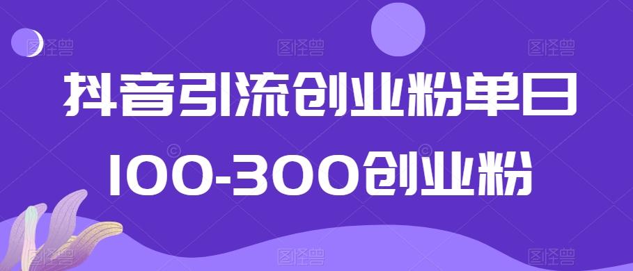 抖音引流创业粉单日100-300创业粉【揭秘】-吾爱网创