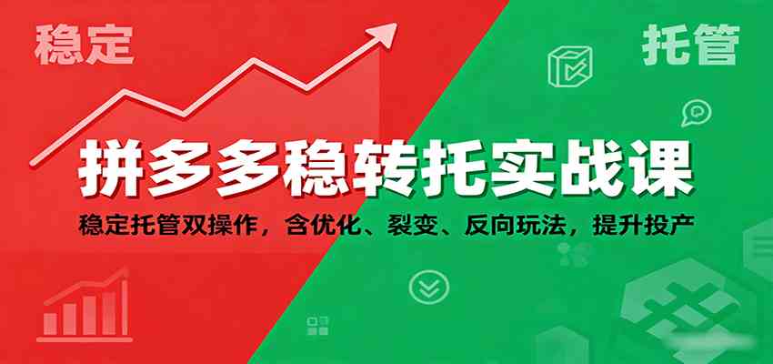 拼多多稳转托实战课：稳定托管双操作，含优化、裂变、反向玩法，提升投产-吾爱网创