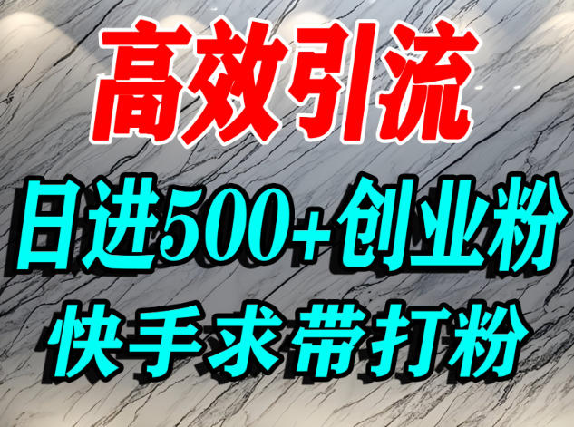 怎么打创业粉？快手求带视角精准引流创业粉，宝妈、学生群体日进500+精准流量-吾爱网创