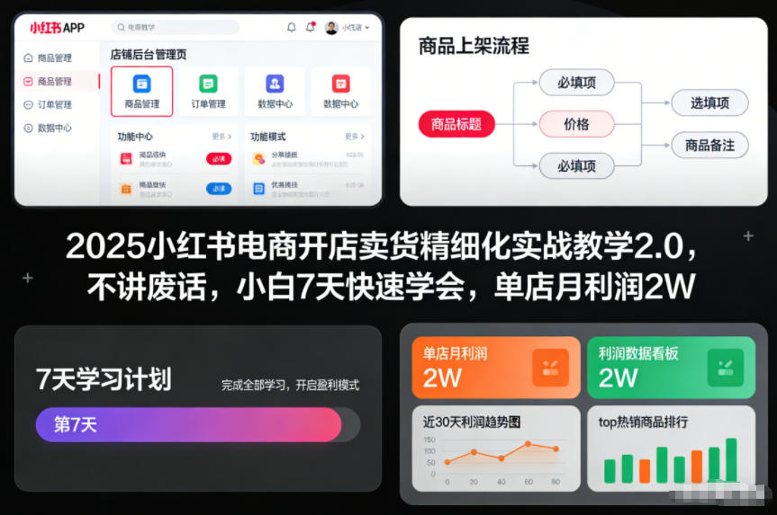 2025小红书电商开店卖货精细化实战教学2.0，不讲废话，小白7天快速学会，单店月利润2W-吾爱网创