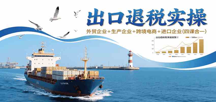 出口退税实操-外贸企业+生产企业+跨境电商+进口企业(四课合一)-吾爱网创