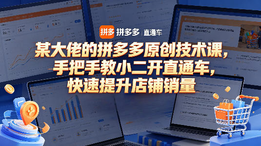 某大佬的拼多多原创技术课，手把手教小二开直通车，快速提升店铺销量-吾爱网创