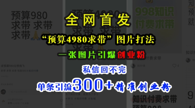 小红书“预算4980带我飞”图片打法，一张图片引爆创业粉，私信回不完，单条引流300+精准创业粉-吾爱网创