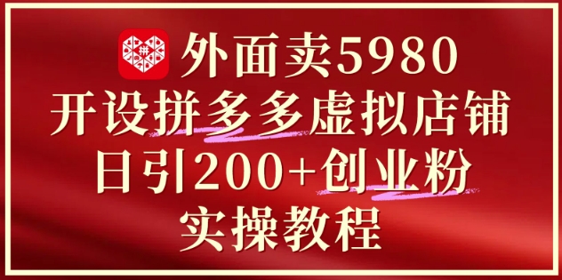 外面卖5980开设拼多多虚拟店铺：单日引流200+创业付费粉实战教程-吾爱网创