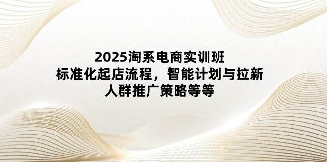 （14522期）2025淘系电商实训班：标准化起店流程，智能计划与拉新，人群推广策略等等-吾爱网创