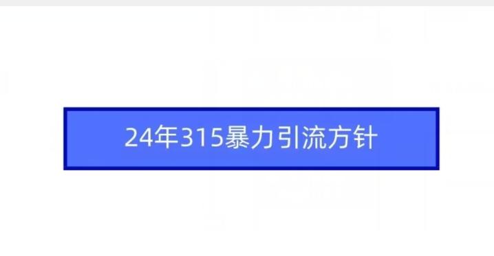 24年315暴力引流方针-吾爱网创
