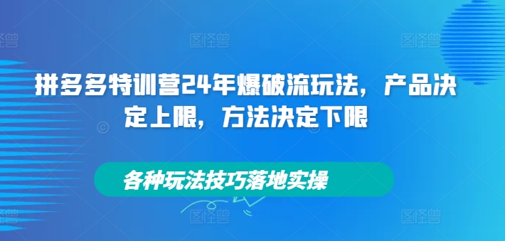 拼多多特训营24年爆破流玩法,产品决定上限,方法决定下限,各种玩法技巧落地实操-吾爱网创