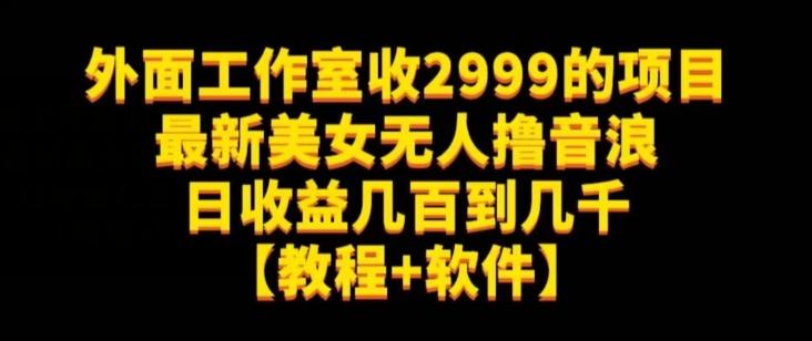 外面工作室收2999的项目最新美女无人撸音浪日收益几百到几千【教程+软件】(仅揭秘)-吾爱网创