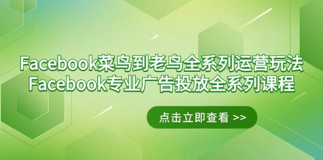 Facebook-菜鸟到老鸟全系列运营玩法+Facebook-专业广告投放全系列课程-吾爱网创