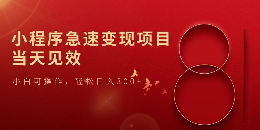 小程序急速变现项目，当天见效，小白可操作，轻松日入300+-吾爱网创