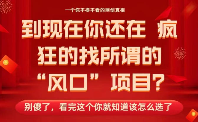 马上26年了，你还在找所谓的风口项目？别傻了，看完这个你全都懂了！【揭秘】-吾爱网创