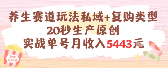 养生赛道玩法私域+复购类型，20秒生产原创实战单号月收入5k+-吾爱网创