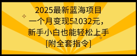 2025最新蓝海项目一个月变现1w+新手小白也能轻松上手【附全套指令】-吾爱网创