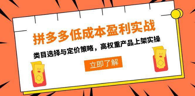（15143期）拼多多低成本盈利实战，类目选择与定价策略，高权重产品上架实操-吾爱网创