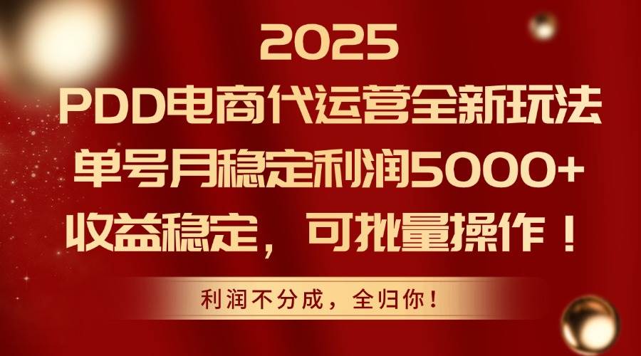 （14839期）2025PDD电商代运营全新玩法，单号月稳定利润5000+，收益稳定，可批量操作-吾爱网创
