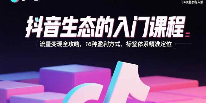 （15856期）抖音生态的入门课程：流量变现全攻略，16种盈利方式，标签体系精准定位-吾爱网创