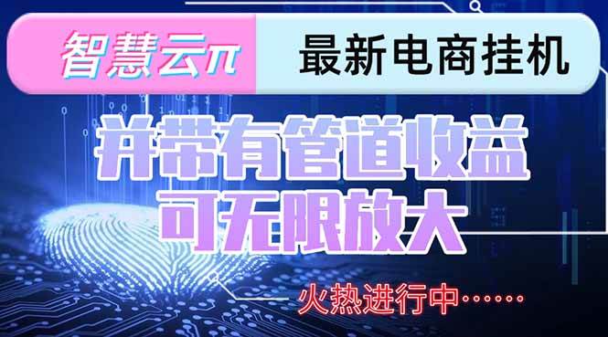 （15314期）智慧云π电脑挂机单机每天收益300—500+ 并带有团队管道收益 可无限放大-吾爱网创