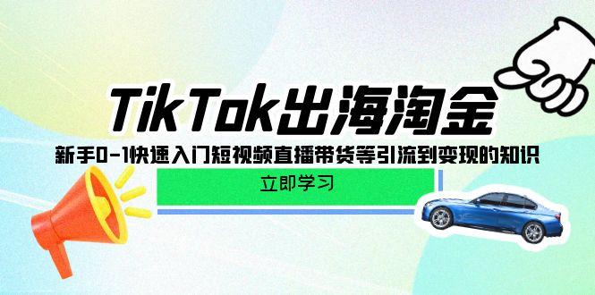 (10035期)TikTok-出海淘金,新手0-1快速入门短视频直播带货等引流到变现的知识-吾爱网创