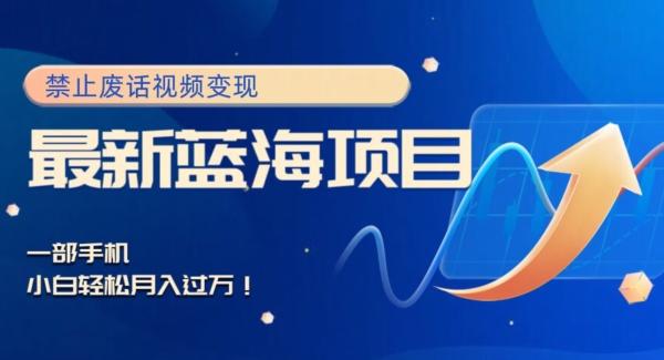 最新蓝海项目，靠禁止废话视频变现，一部手机，小白轻松月入过万！-吾爱网创