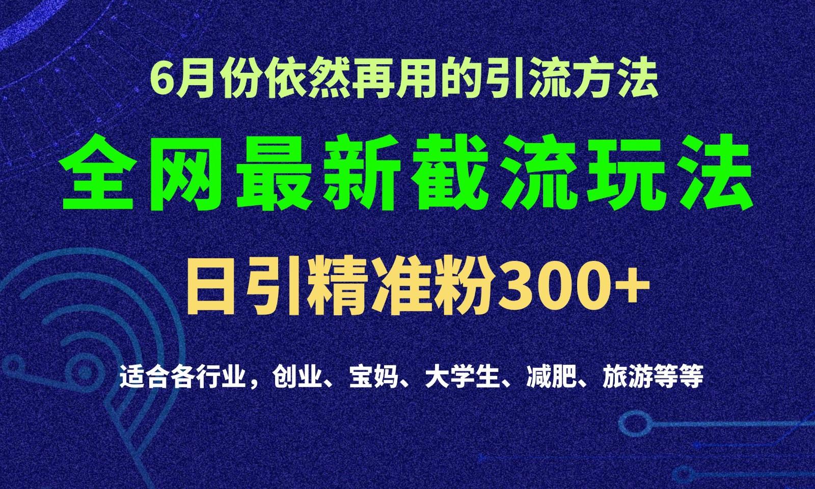 2024全网最新截留玩法，每日引流突破300+-吾爱网创