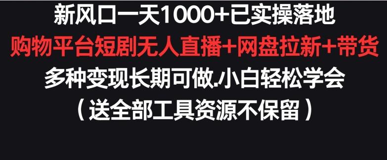 新风口一天1000+已实操落地购物平台短剧无人直播+网盘拉新+带货多种变现长期可做【揭秘】-吾爱网创