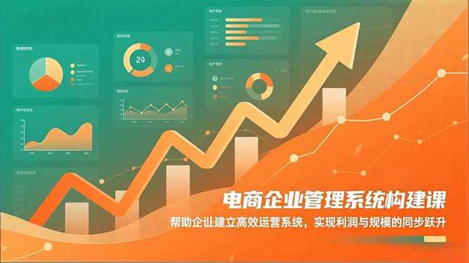 （16643期）电商企业管理系统构建课：帮助企业建立高效运营系统，实现利润与规模的同步跃升-吾爱网创