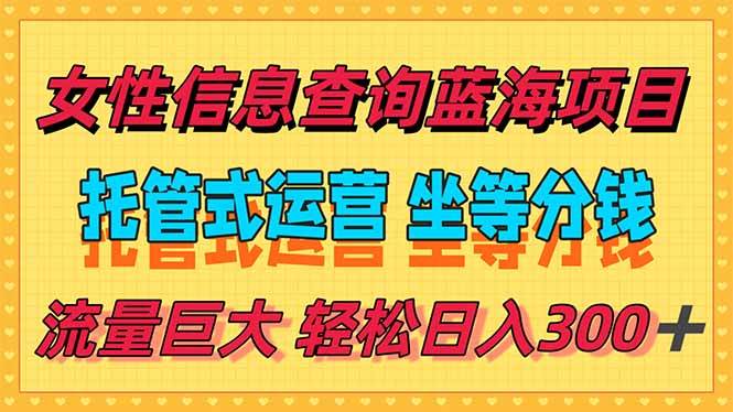 （15216期）稳定日入300＋，小众信息查询蓝海项目，全程懒人式托管，解放你的时间-吾爱网创
