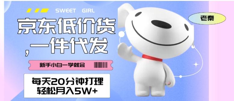 每天20分钟打理京东低价货，一件代发-轻松月入5W＋-吾爱网创