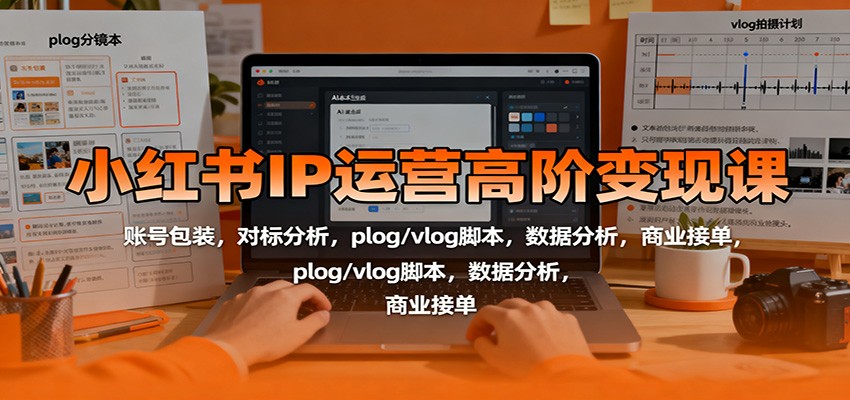 小红书IP运营高阶变现课：账号包装，对标分析，plog/vlog脚本，数据分析，商业接单-吾爱网创