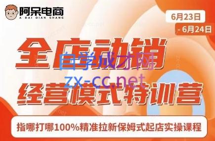 阿呆电商·全店动销经营模式特训营(线下录音+思维导图)-吾爱网创