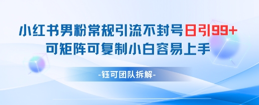 小红书男粉常规引流不封号日引99+变现简单 可矩阵可复制小白容易上手-吾爱网创