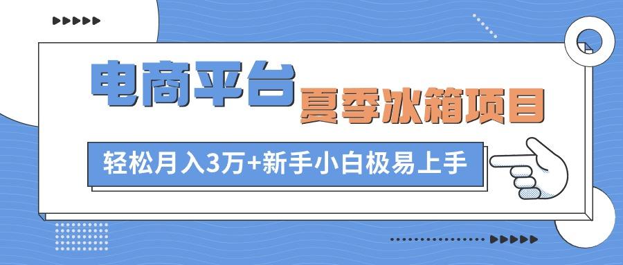 电商平台夏季冰箱项目，轻松月入3万+，新手小白极易上手-吾爱网创