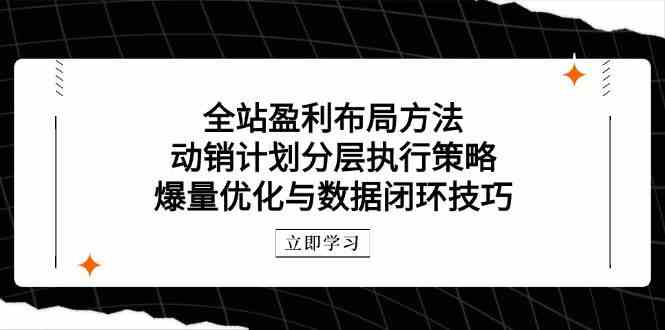 全站盈利布局方法：动销计划分层执行策略，爆量优化与数据闭环技巧-吾爱网创