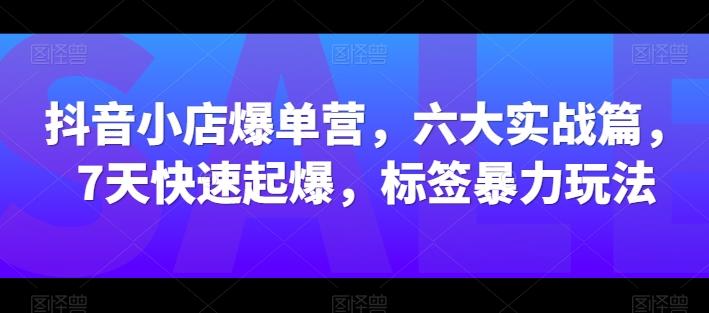 抖音小店爆单营，六大实战篇，7天快速起爆，标签暴力玩法-吾爱网创