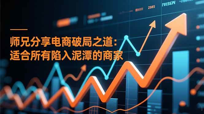 （16578期）师兄分享电商破局之道：适合所有陷入泥潭的商家-吾爱网创