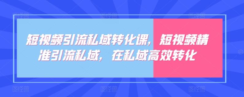 短视频引流私域转化课，短视频精准引流私域，在私域高效转化-吾爱网创
