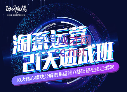 淘系运营21天速成班(更新7月)-吾爱网创