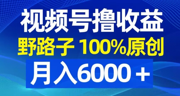 视频号野路子撸收益，100%原创，条条爆款，月入6000＋【揭秘】-吾爱网创