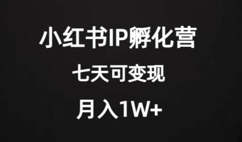 价值2000+的小红书IP孵化营项目，超级大蓝海，七天即可开始变现，稳定月入1W+-吾爱网创