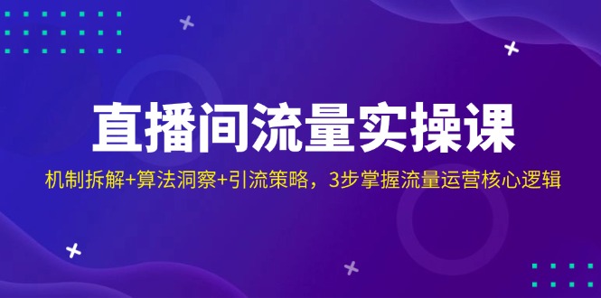 （14122期）直播间流量实操课：机制拆解+算法洞察+引流策略，3步掌握流量运营核心逻辑-吾爱网创