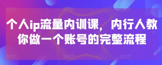 个人ip流量内训课，内行人教你做一个账号的完整流程-吾爱网创