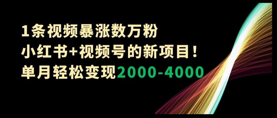 1条视频暴涨数万粉–小红书+视频号的新项目！单月轻松变现2000-4000【揭秘】-吾爱网创