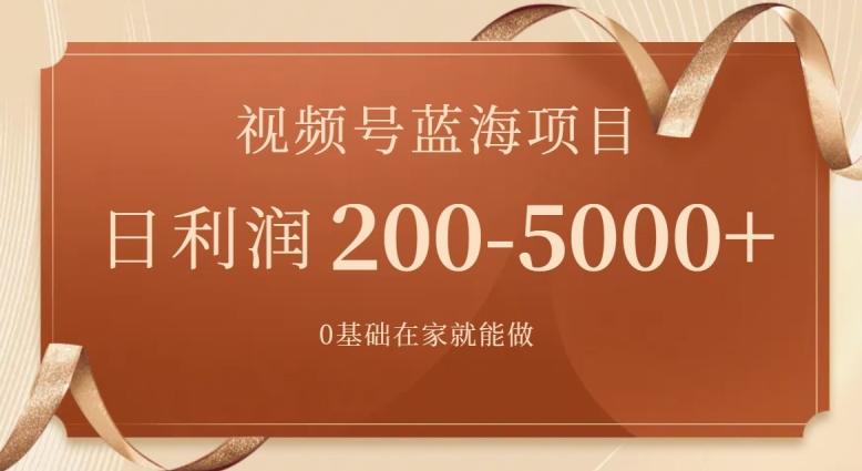 外边收费699视频号项目，最新玩法，简单好操作，一人可做，日四位数-吾爱网创