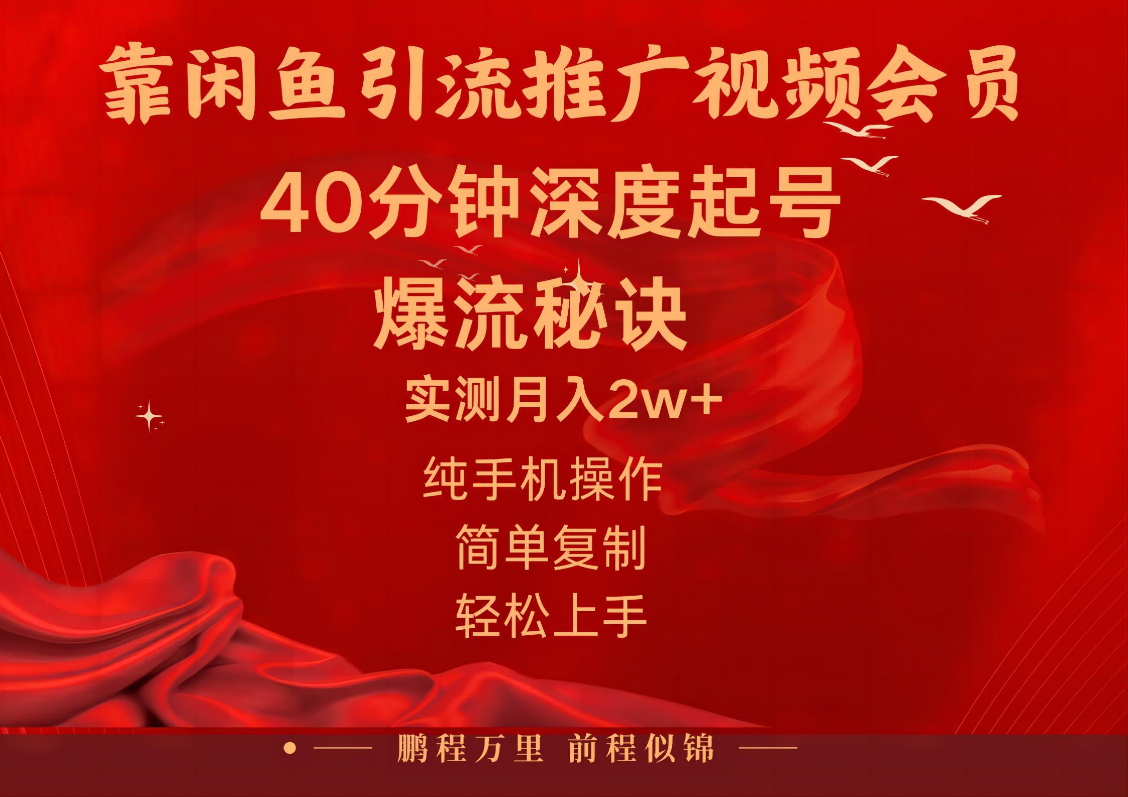 闲鱼暴力引流推广视频会员，能做到日入2W+，操作简单-吾爱网创