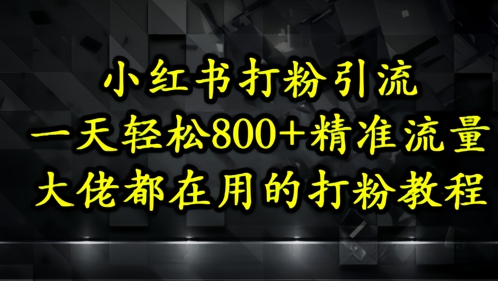 小红书打粉引流，一天轻松500+精准流量，大佬都在用的打粉教程-吾爱网创