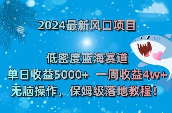 2024最新风口项目,低密度蓝海赛道,单日收益5000+,一周收益4w+!【揭秘】-吾爱网创